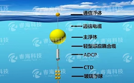 實(shí)時(shí)潛標觀(guān)測系統