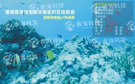水下波浪在線(xiàn)觀(guān)測系統