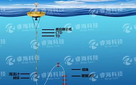 浮潛標觀(guān)測系統